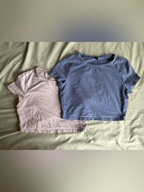 Bundle of gray and blue crop tops 🩶💙